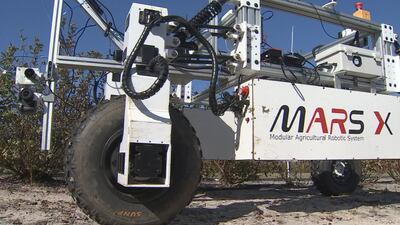 New AI technology being tested at blueberry farm in Marion County