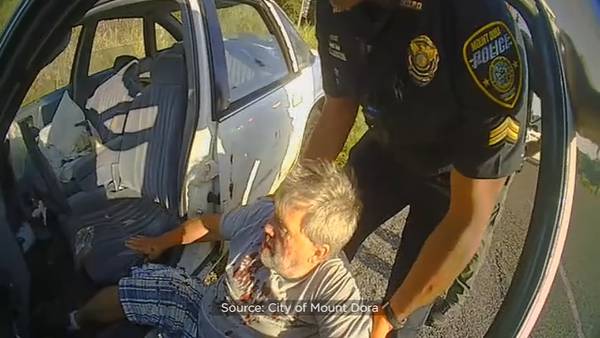 9 Investigates report leads to investigation into Mount Dora officer who used Taser on driver