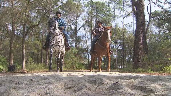 How Disney is using recycled glass to touch up resort horse trails