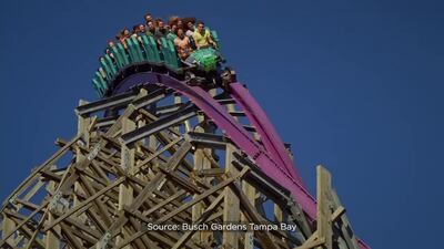 Photos: Iron Gwazi to open in March at Busch Gardens Tampa Bay