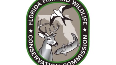 FWC: Missing turkey hunter rescued after more than 24 hours in Sumter County woods