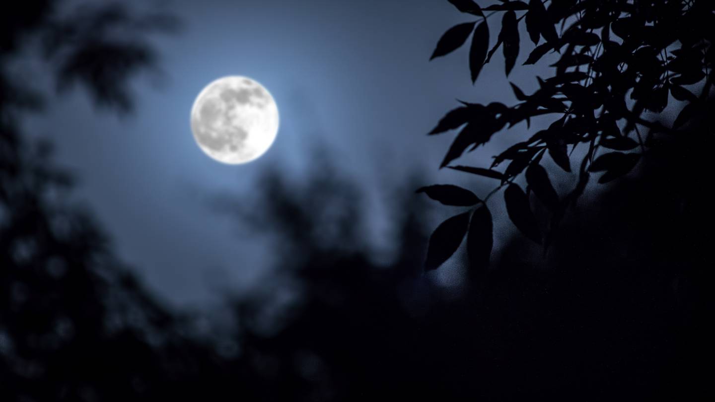 Supermoon to upward thrust Monday: What you wish to have to grasp