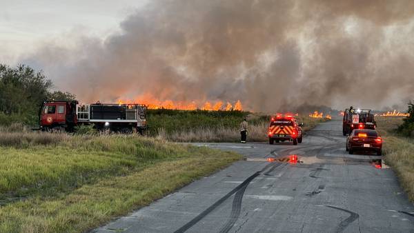 SEE: Rocket club accidentally starts 50-acre brush fire in ‘The Compound’ in Palm Bay