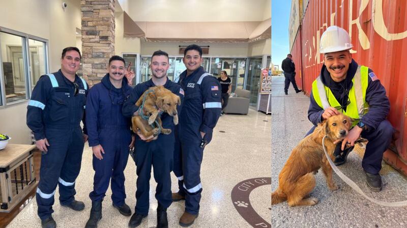 Members of the United States Coast Guard helped rescue a dog at the Port of Houston in Texas.
