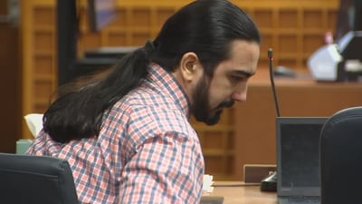 Mental health experts testify to Anselmo’s psychiatric history at time of stepmom’s murder