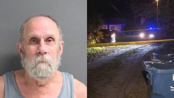 Deputies identify 78-year-old Volusia County man accused of killing neighbor who was trimming trees