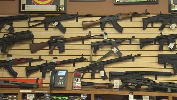 Florida lawmakers to discuss bill to lower minimum age for buying rifles, other long guns
