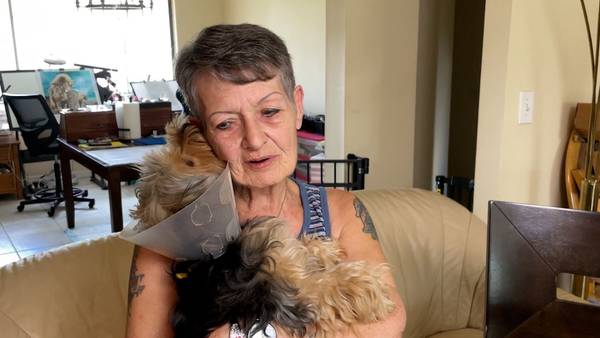 ‘It was a mess’: Consumer claims sick puppy wasn’t full breed she paid for