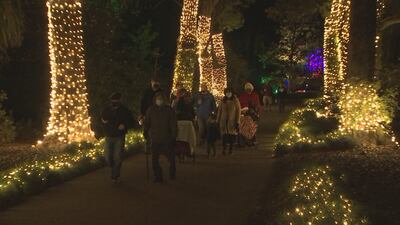 Photos: Nature and holiday spirits to shine during ‘Dazzling Nights’ at Leu Gardens