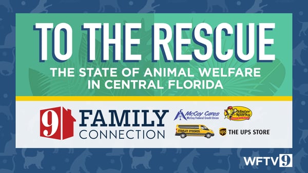 WATCH: ‘To the Rescue: the State of Animal Welfare in Central Florida’