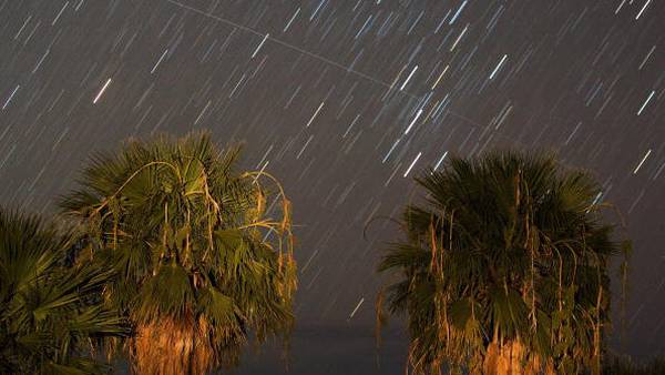 Perseid meteor shower expected to peak this week
