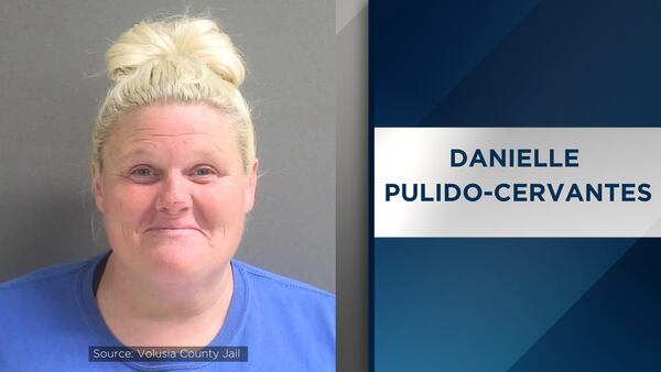 Central Florida woman accused of abandoning 7 dogs at previous home in Georgia