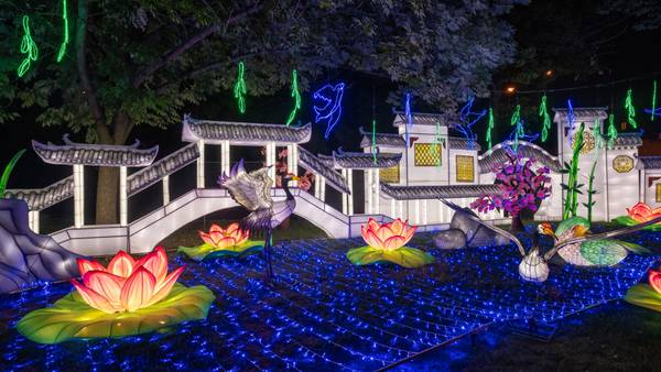 Photos: Asian Lantern Festival: Into the Wild 