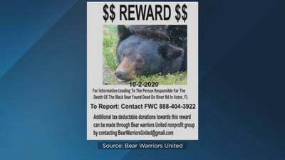 Reward offered to find person who shot, killed black bear in Lake County neighborhood