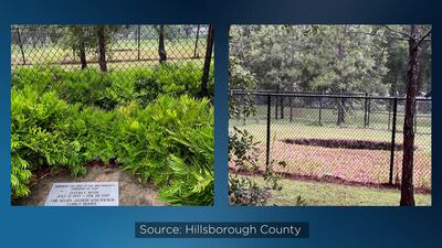 ‘Void’ appears at site of previous sinkhole in Hillsborough County
