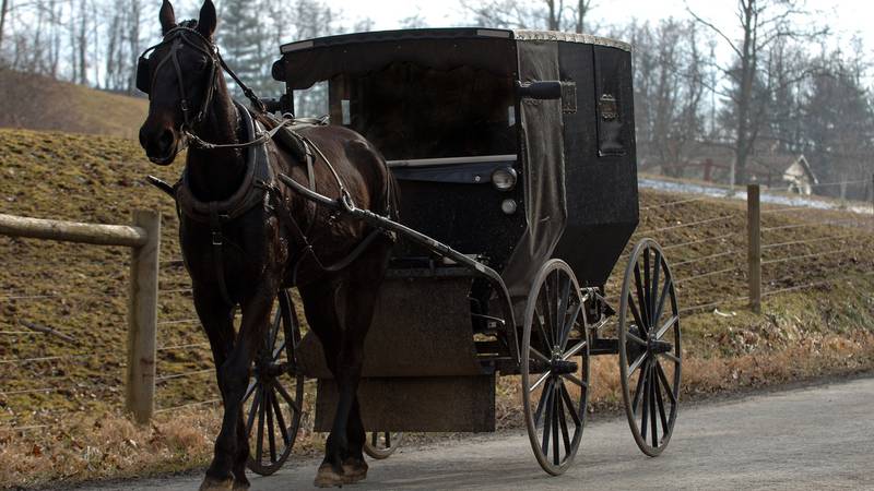 Woman accused of stealing Amish family’s horse, buggy from Walmart parking lot