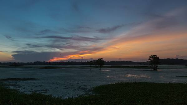 Florida cites consequences after wetlands ruling