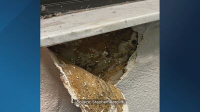 Seminole parents concerned after mold found in several elementary school classrooms