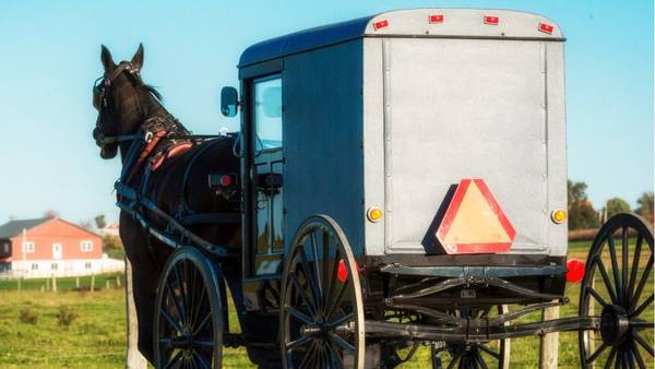 Man arrested after low-speed chase involving Amish buggy in Ohio