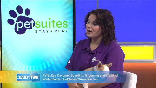 The Daily 2: PetSuites