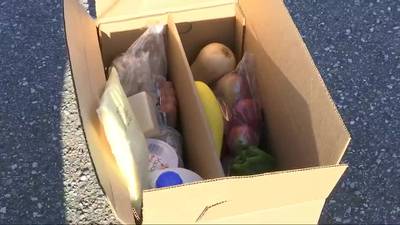 Happening Saturday: Farm Share food giveaway in Kissimmee
