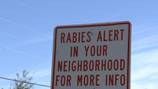 Rabies alert issued for parts of Brevard County, Dept. of Health says