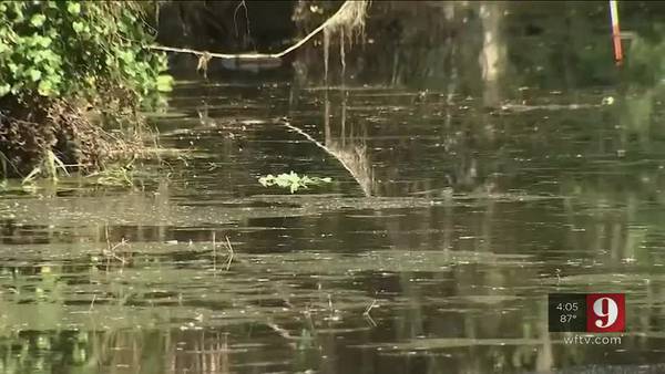 VIDEO: Seminole County leaders dealing with unprecedented levels of mosquitos after Hurricane Ian