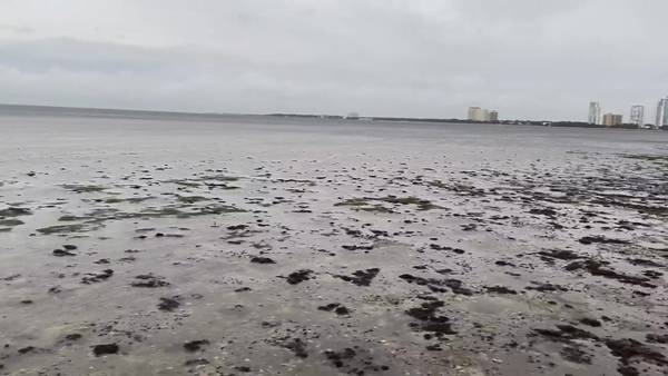Tampa Bay waters receded as Hurricane Ian approached