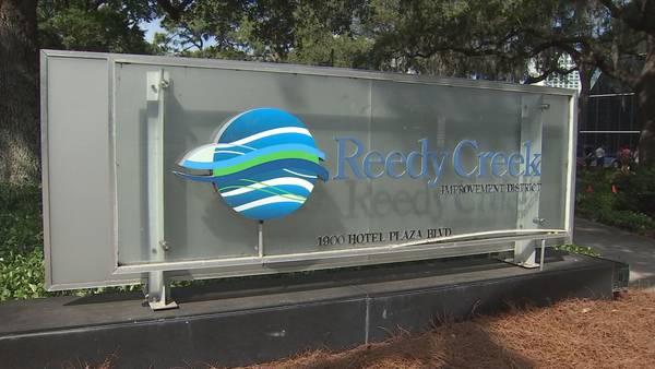 VIDEO: Reedy Creek replacement in the works