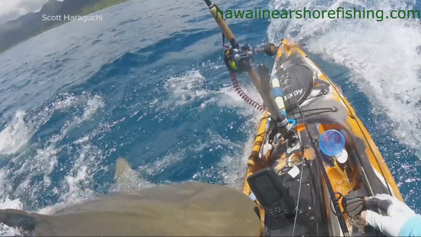 WATCH: Shark attacks fisherman in kayak off coast of Hawaii – WFTV