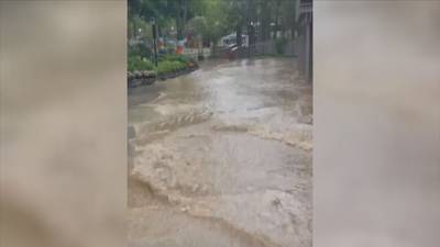 Photos: Guests wade through water as Dollywood soaked by flash flood