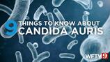 SEE: 9 things to know about Candida auris