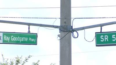 Lake County road renamed after longtime city councilman who passed away