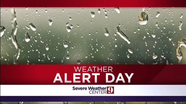 Video: Weather Alert Day: Thunderstorms, heavy winds forecast to impact Central Florida on Sunday