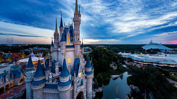 Disney World: Bear in tree at Magic Kingdom captured; to be relocated to Ocala National Forest
