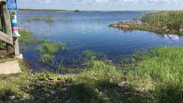 DeSantis signs Florida Wildlife Corridor Act at Disney’s Wilderness Preserve 