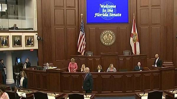 VIDEO: Florida's 15 Week Abortion Ban Challenged in Court, Judge soon to decide outcome