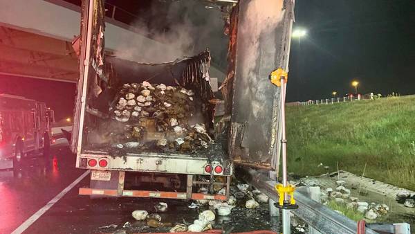 Semi hauling frozen turkeys catches fire in Seminole County
