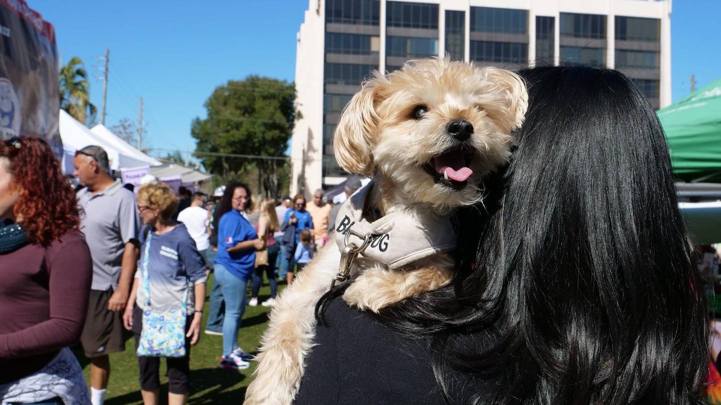 PHOTOS Paws in the Park WFTV