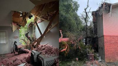 Massive oak tree crashes through Orange City apartment building, damaging 4 units