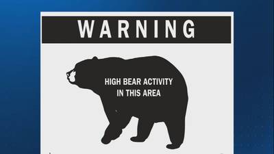 Seminole County will now require new developments to post ‘Bear Activity’ signs
