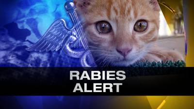 Infected cat prompts rabies alert in Brevard County neighborhood