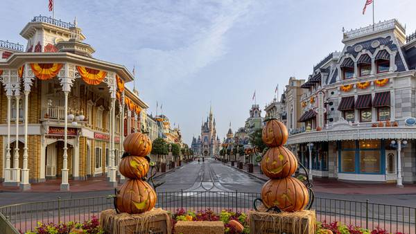 WATCH: Magic Kingdom transformed overnight with fall décor