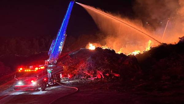 Firefighter battle brush fire in Marion County