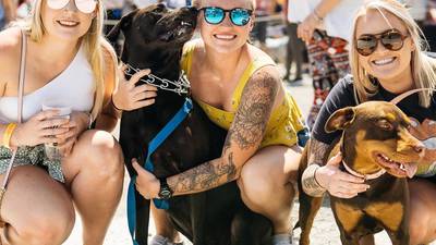 Bark for your buck: Help local animal charities with annual Pints n’ Paws festival 