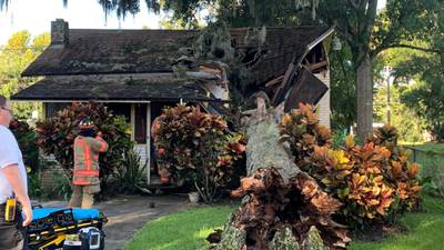 Video: Elderly woman trapped after large tree crashes into home in Daytona Beach