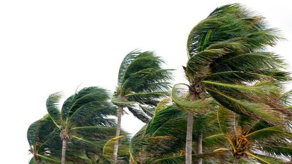 Hurricane season: What is the Saffir-Simpson scale; how does it work; is there a Category 6?