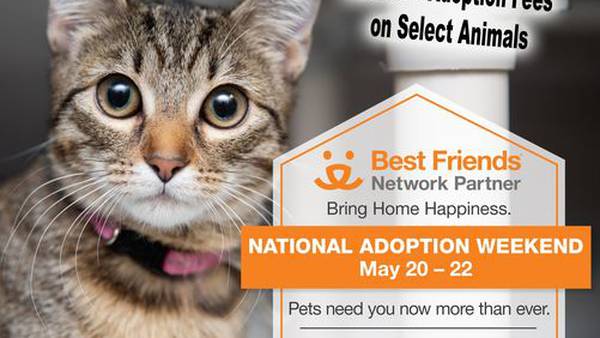 Halifax Humane Society to offer reduced adoption fees during national adoption weekend