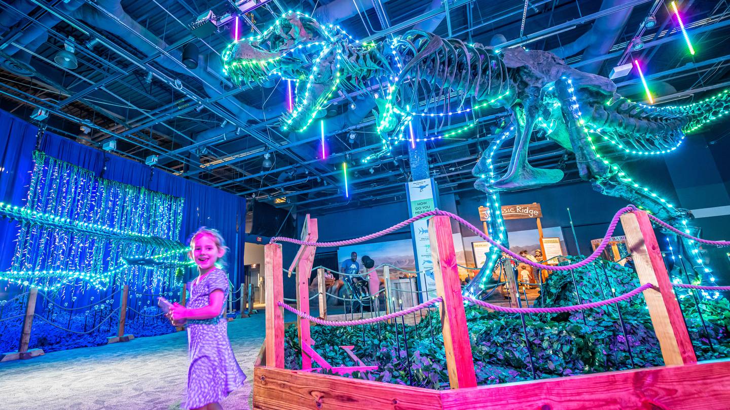 Orlando Science Center celebrates holiday season with dino-mite light show – WFTV