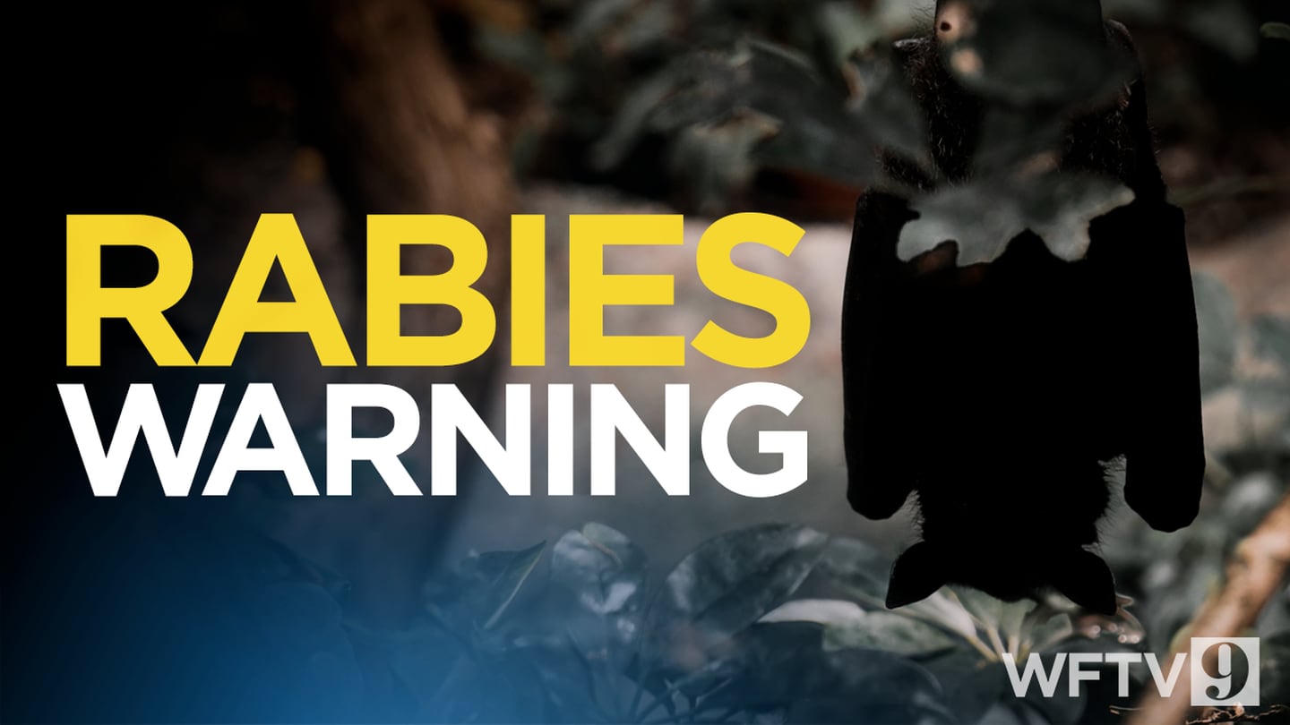 Rabies warning issued for Deltona, Volusia County Health reports – WFTV